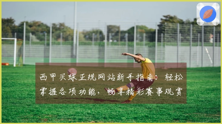 西甲买球正规网站新手指南：轻松掌握各项功能，畅享精彩赛事观赏体验