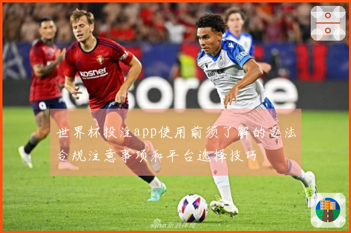 世界杯投注app使用前须了解的合法合规注意事项和平台选择技巧