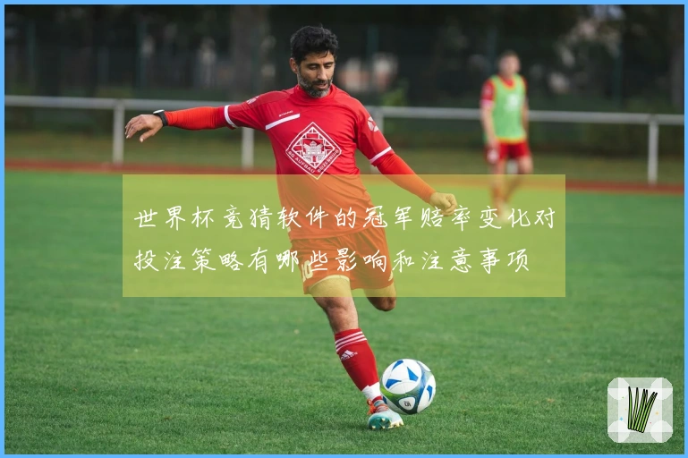 世界杯竞猜软件的冠军赔率变化对投注策略有哪些影响和注意事项