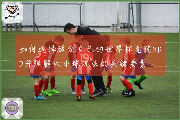 如何选择适合自己的世界杯竞猜app并理解大小球玩法的关键要素