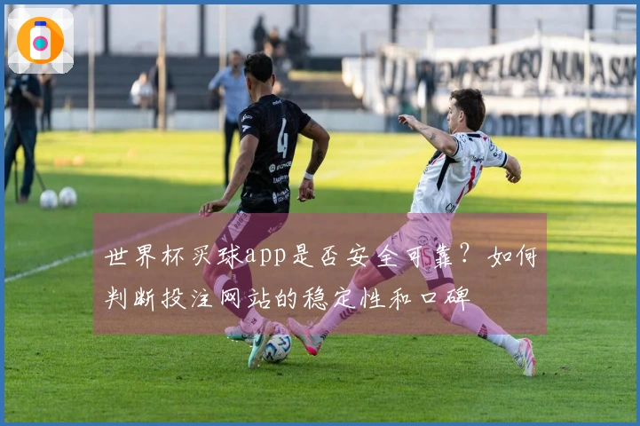 世界杯买球app是否安全可靠？如何判断投注网站的稳定性和口碑