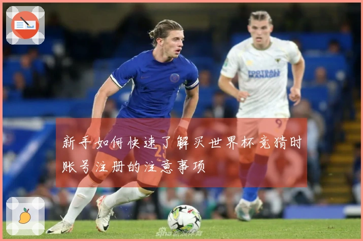 新手如何快速了解买世界杯竞猜时账号注册的注意事项