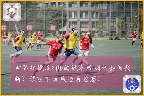 世界杯投注app的返水规则该如何判断？预防下注风险看这篇！