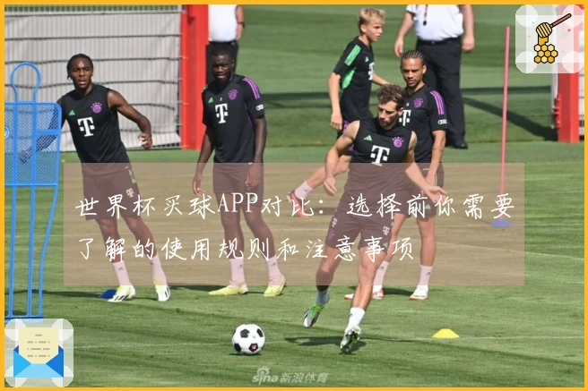 世界杯买球APP对比：选择前你需要了解的使用规则和注意事项