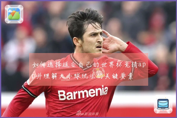 如何选择适合自己的世界杯竞猜app并理解大小球玩法的关键要素