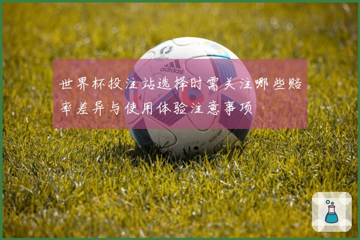 世界杯投注站选择时需关注哪些赔率差异与使用体验注意事项