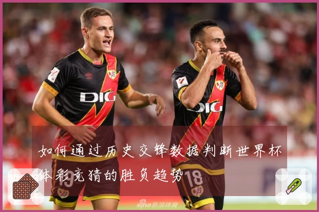 如何通过历史交锋数据判断世界杯体彩竞猜的胜负趋势