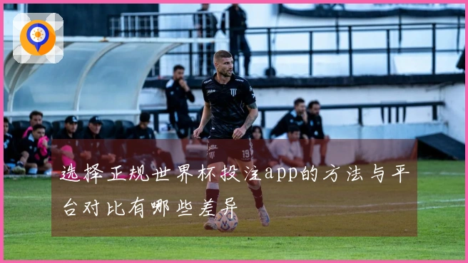 选择正规世界杯投注app的方法与平台对比有哪些差异