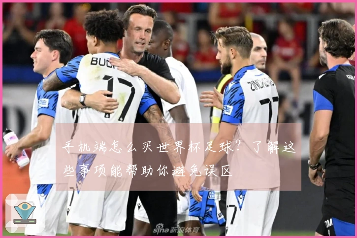 手机端怎么买世界杯足球？了解这些事项能帮助你避免误区
