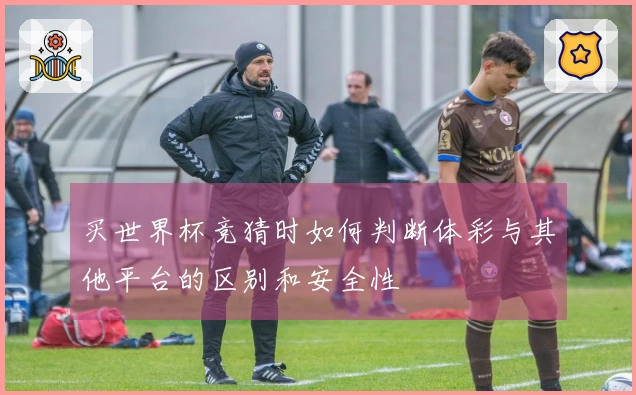 买世界杯竞猜时如何判断体彩与其他平台的区别和安全性