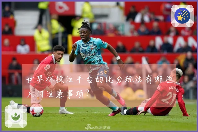 世界杯投注平台的比分玩法有哪些入门注意事项？